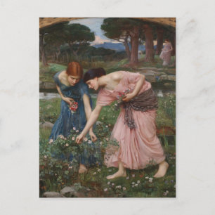 John Waterhouse - samla ihop Rosenknoppar medan du Vykort