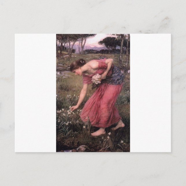 John William Waterhouse - Narcissus - Fine Art Vykort (Framsida)