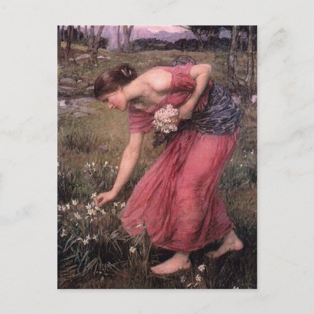 John William Waterhouse - Narcissus - Fine Art Vykort (Framsida)