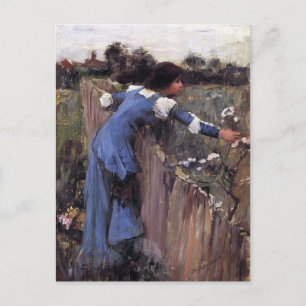 John William Waterhouse- The Flower Picker Vykort