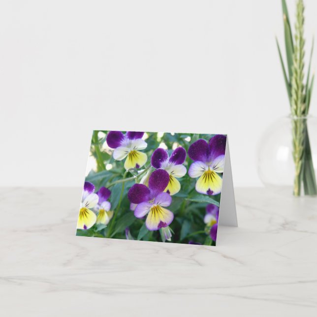 Johnny Hopp-Ups noterar kortet Kort (Framsida)