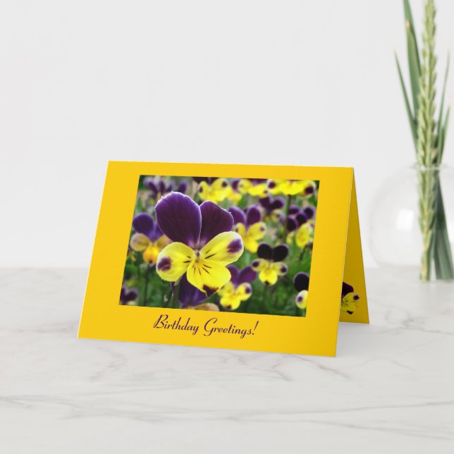 Johnny Jump Up Birthday Kort (Framsida)