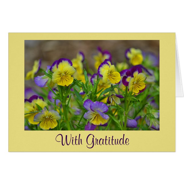 Johnny Jump Up Tack You Card Hälsningskort (Framsidan Horizontal)