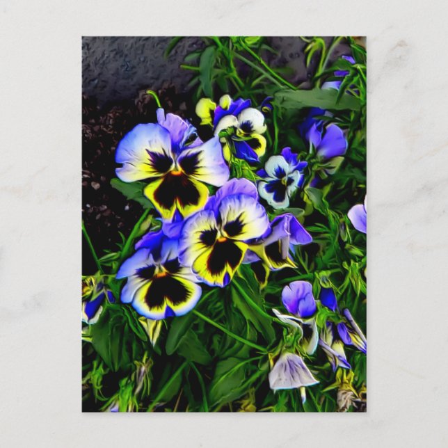 Johnny Jump Up Vykort (Framsida)