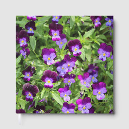 Johnny Pop Ups Gästböcker