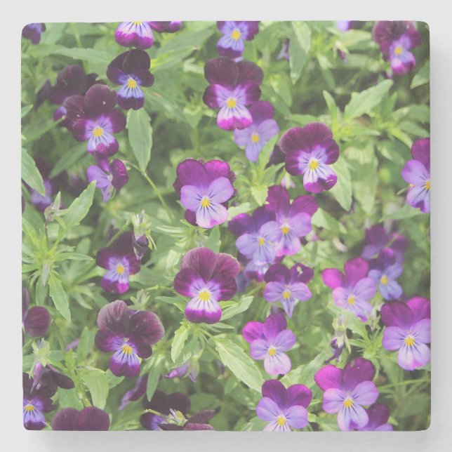 Johnny Pop Ups Stenunderlägg (Framsidan)