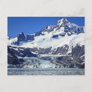 Johns Hopkins Glacier i Glacier Bay NP Vykort