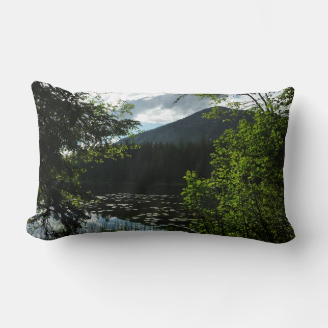 Johns Lake I vid Glacier National Park Lumbarkudde (Framsida)