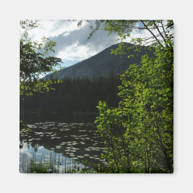 Johns Lake I vid Glacier National Park Magnet (Framsidan)