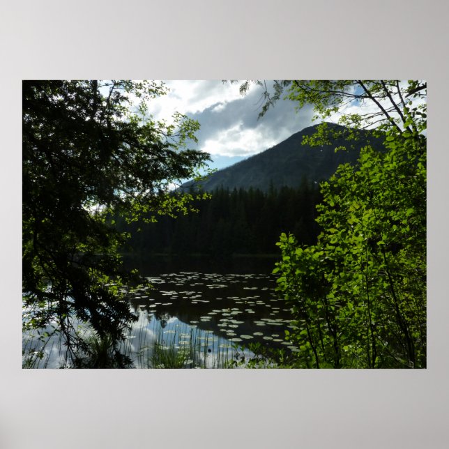 Johns Lake I vid Glacier National Park Poster (Framsidan)