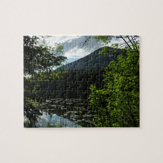 Johns Lake I vid Glacier National Park Pussel (Horisontell)