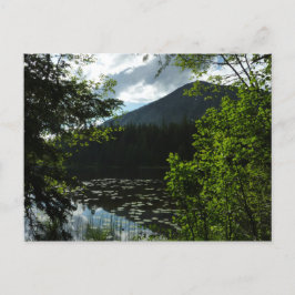 Johns Lake I vid Glacier National Park Vykort