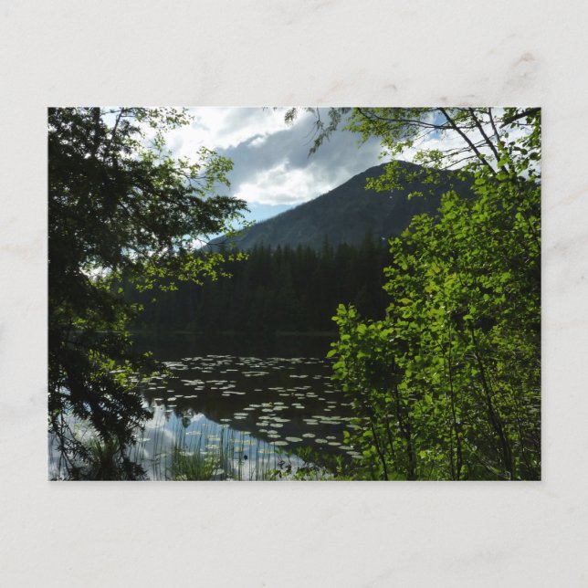 Johns Lake I vid Glacier National Park Vykort (Framsida)