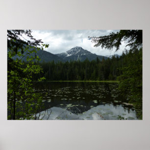 Johns Lake II vid Glacier National Park Poster