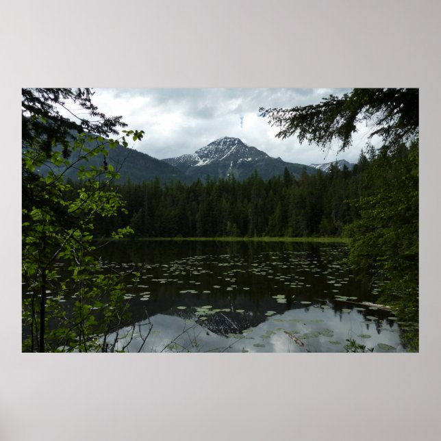 Johns Lake II vid Glacier National Park Poster (Framsidan)