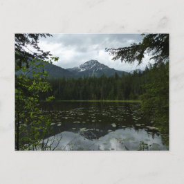 Johns Lake II vid Glacier National Park Vykort