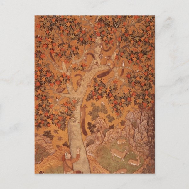 Johnson Album I, No.30 Squirrels på flygplan Vykort (Framsida)