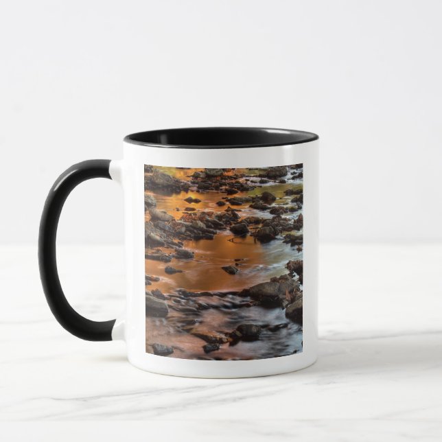 Johnson County, Leawood, Tomahawk Creek Mugg (Vänster)