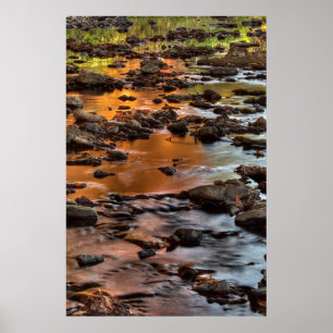 Johnson County, Leawood, Tomahawk Creek Poster