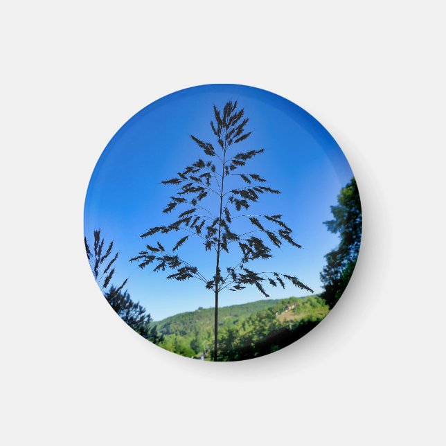 Johnson Grass Magnet (Framsidan)
