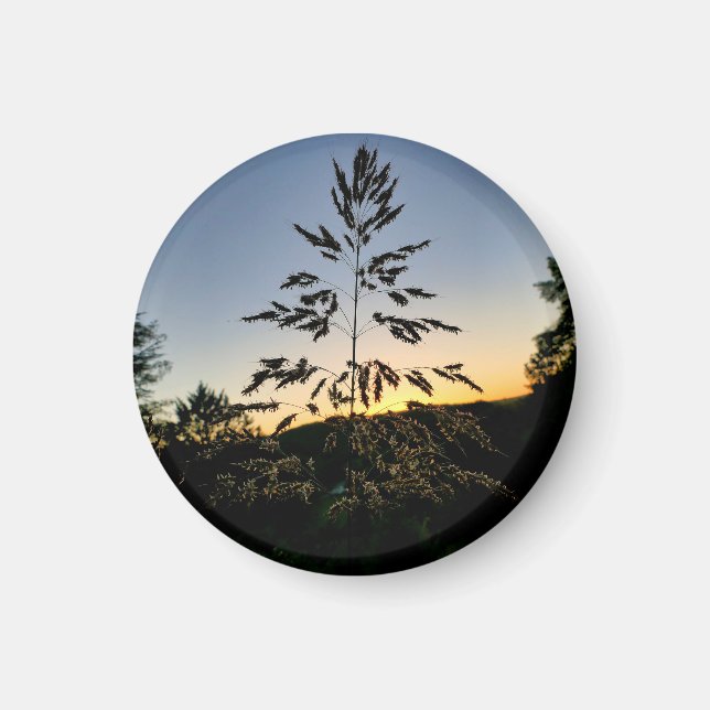 Johnson Grass Magnet (Framsidan)
