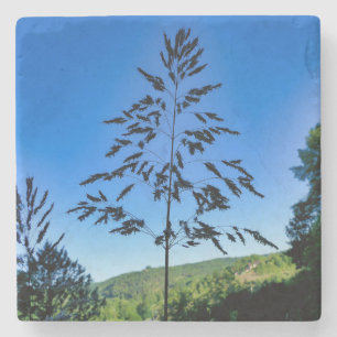 Johnson Grass Stenunderlägg