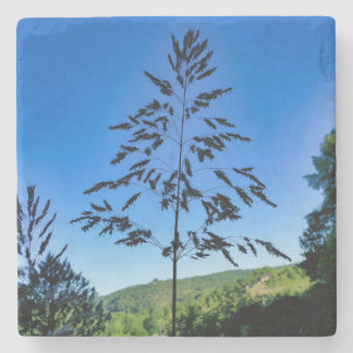 Johnson Grass Stenunderlägg