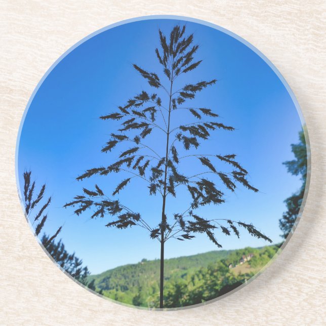 Johnson Grass Underlägg (Framsidan)