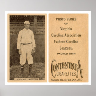 Johnson Norfolk Baseball 1910 Poster
