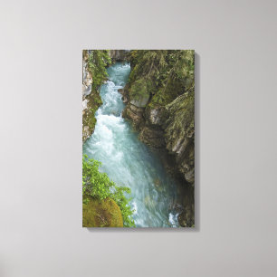 Johnston Canyon Canvastryck