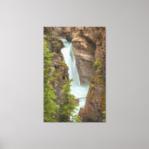 Johnston Canyon Falls Canvastryck