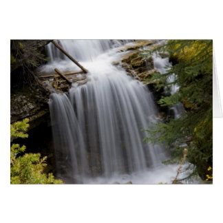 Johnston Canyon Waterfall Hälsningskort