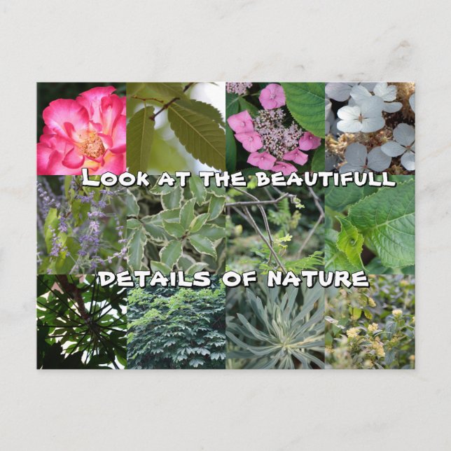 joie texte fleur feuille vert jardin printemps vykort (Framsida)