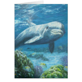 jojopaintings OBS kort