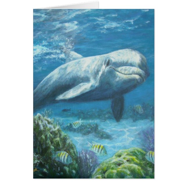 jojopaintings OBS kort (Framsidan)