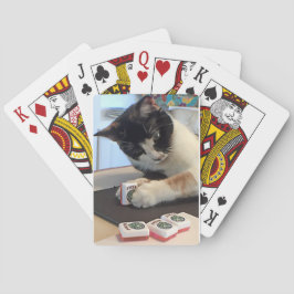 Jokerkatt Casinokort