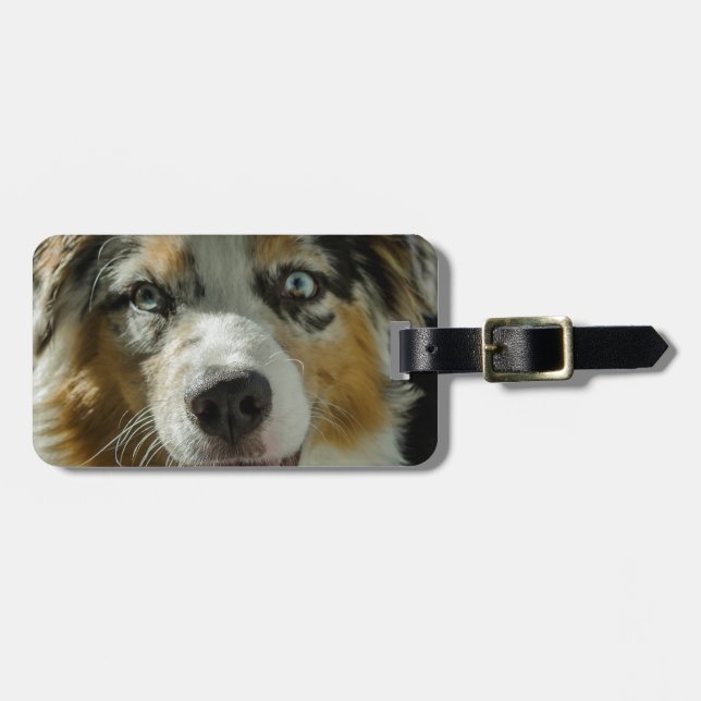 Jokerpojke Bagagebricka (Horisontell Framsida)