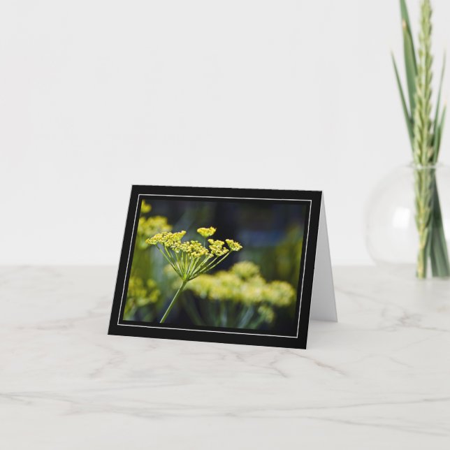 Jokertecken för fotopapport kort (Framsida)