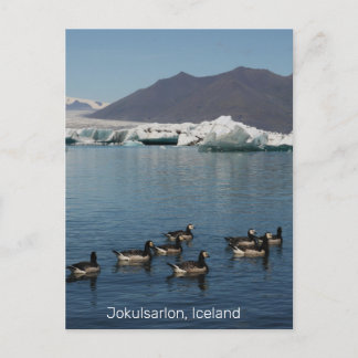 Jokulsarlon Island vykort