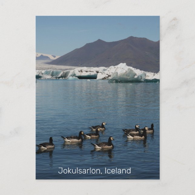 Jokulsarlon Island vykort (Framsida)