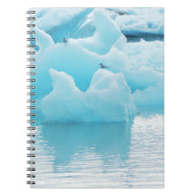 Jökulsárlón tärnor