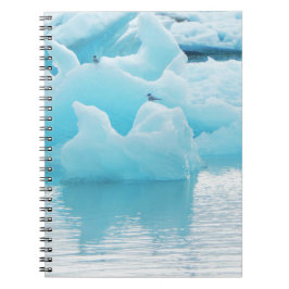 Jökulsárlón tärnor anteckningsbok