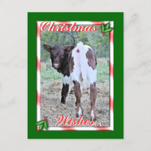 JoleeChristmasPcard-skräddarsy Helg Vykort