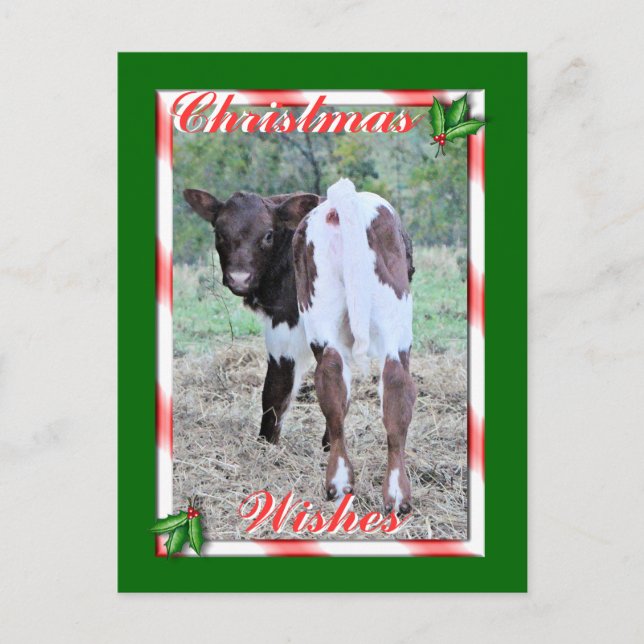 JoleeChristmasPcard-skräddarsy Helg Vykort (Framsida)