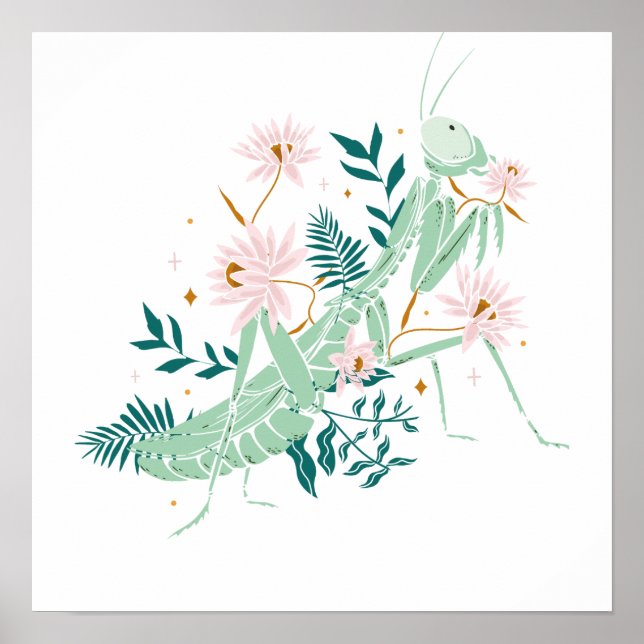 JOLIE SAUTERELLE POSTER (Framsidan)