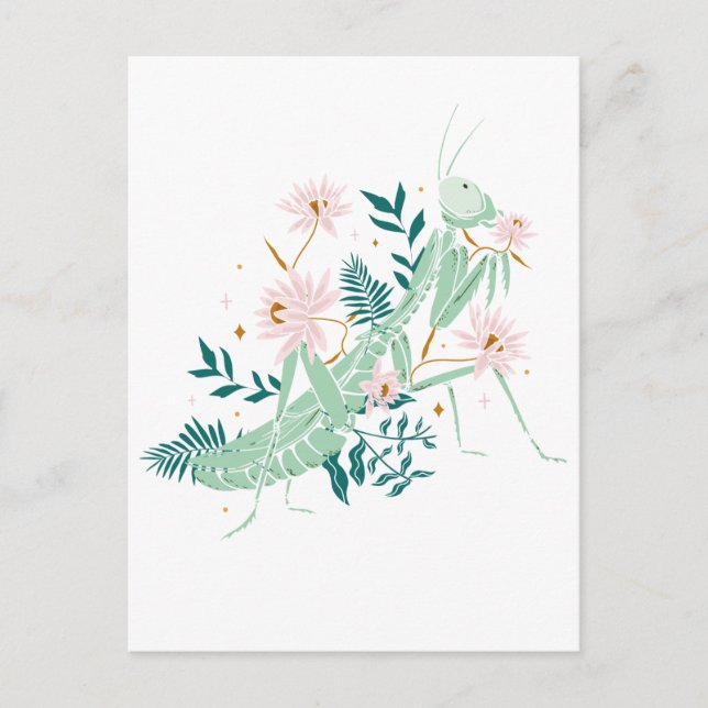 JOLIE SAUTERELLE VYKORT (Framsida)