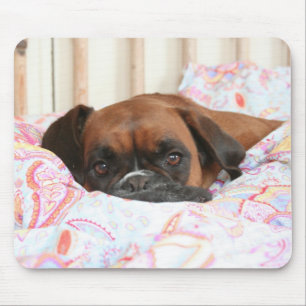 Jolie snuggled i duveten musmatta