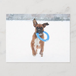 Jolie spelar frizbee i snö vykort