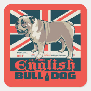Jolly Bra English Bulldog Fyrkantigt Klistermärke