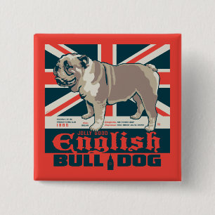 Jolly Bra English Bulldog Knapp